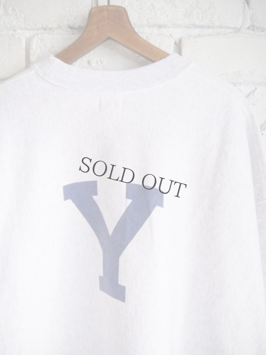画像4: blurhmsROOTSTOCK PRINT Sweat Crew-neck P/O Big (ALE-Y) ブラームスルーツストック プリントスウェットクルーネックプルオーバー (bROOTS23F26P) (4)