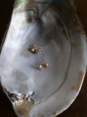 画像1: BIWA PEARL 琵琶パール 小粒ピアス14KGF (1)